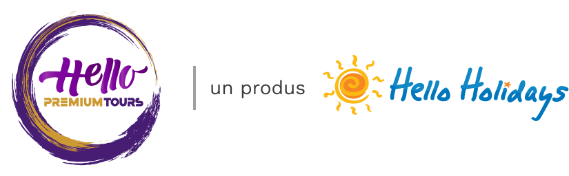 Senior Holidays Logo